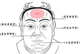 人中明顯面相|面相解析之人中面相象征的含义